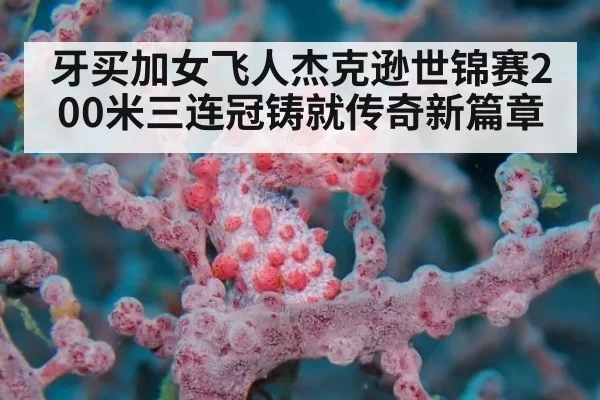 牙买加女飞人杰克逊世锦赛200米三连冠铸就传奇新篇章